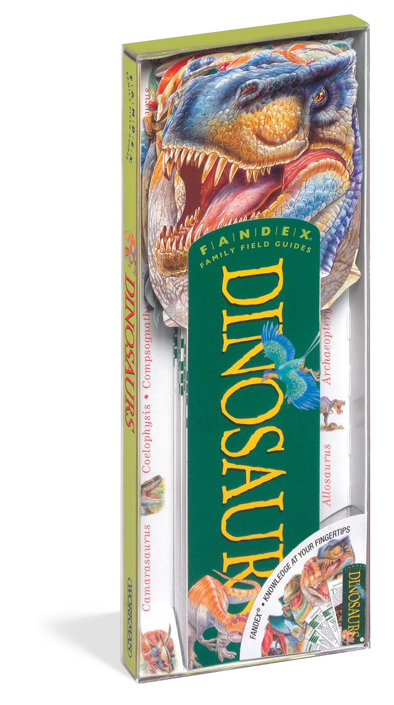 Fandex Family Field Guide - Dinosaurs