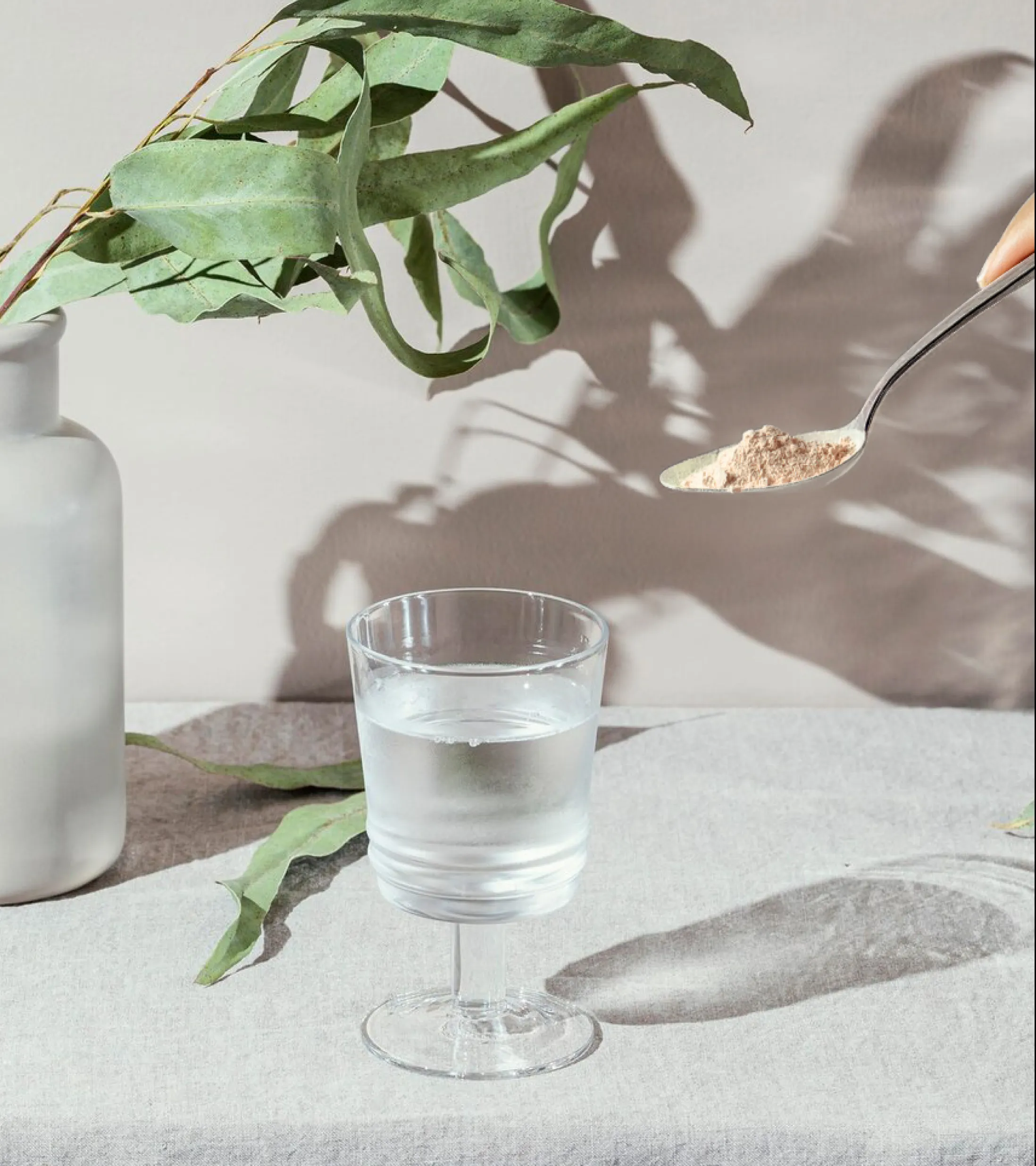 Jung  Cellular Skin Renewal